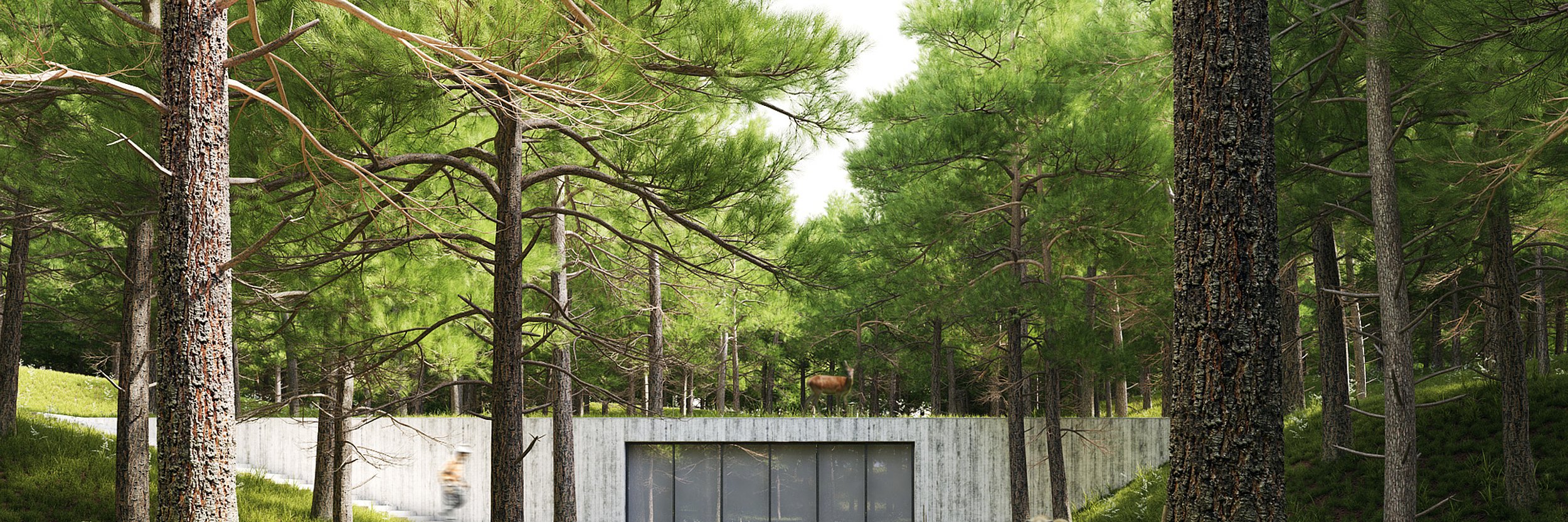 Inspiration Trees Foliage Vol Jeff Mottle Cgarchitect