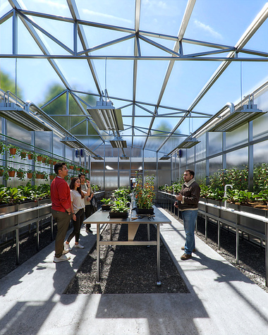 Mithun | Monterey Bay Greenhouse