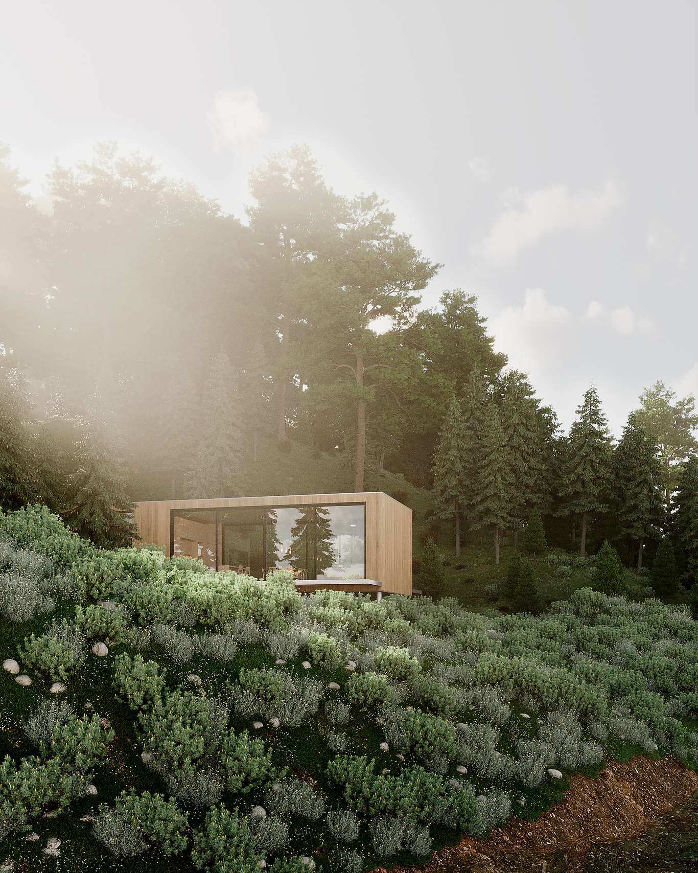 House in the Forest | Joana Marques - CGarchitect - Architectural ...