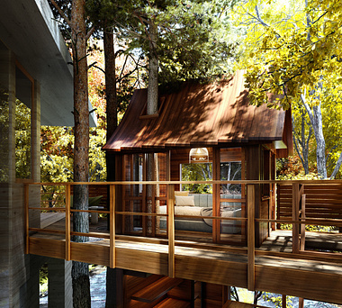 House with tree house