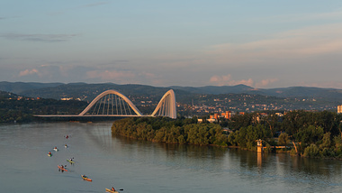 Bridge Competition