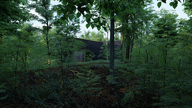 Modern house in Japan