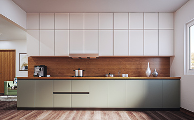 Apartment Lobby and Kitchen design