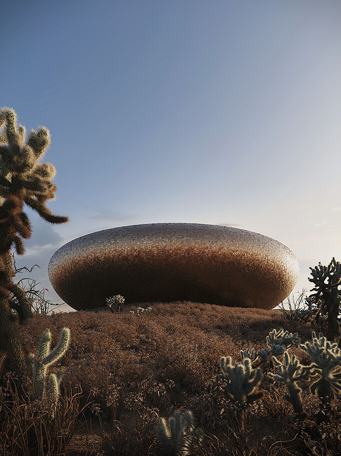 This is a personal project exploring dry vegetation, lighting and composition. I have designed this oval shape to capture tones of its environment. Facade is made from metal plates.