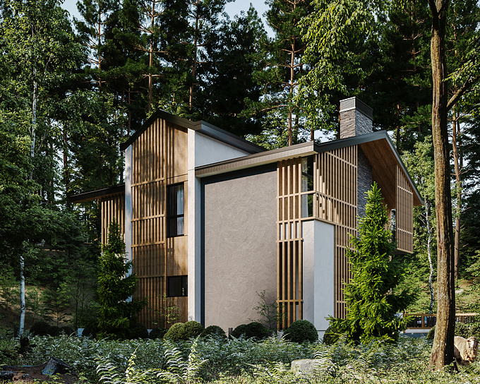 Exterior Visualizations for a modern guesthouse project designed by Libohova Architects.