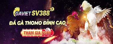 Sv388 - Bí Kíp Chinh Phục Sân Chơi Cá Cược Mới