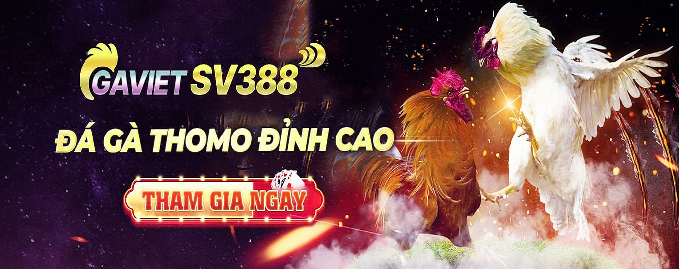 Sv388 - Sân Chơi Gà Chọi Trực Tuyến Đỉnh Cao - Khám Phá Thế Giới Cá Cược