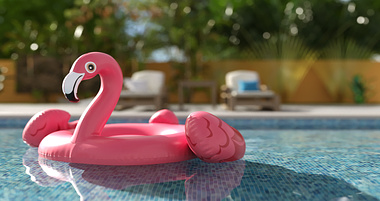 Sun Bathing Flamingo