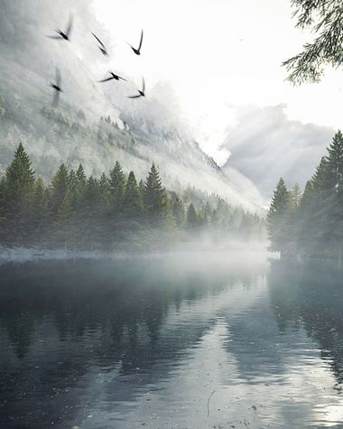                                                       MISTY LAKE