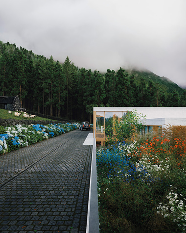 Villa in Azores: The garden