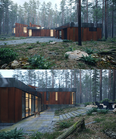 House in the forest