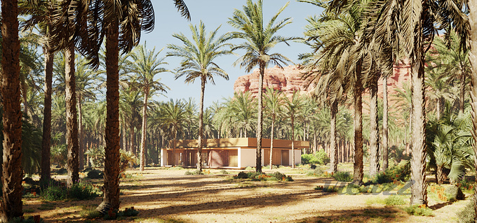 The space between the palm forest is where the Palmhouse project is present. Feel the flavors of the desert to the sounds of the wind through the palm trees shown through carefully crafted videos.
