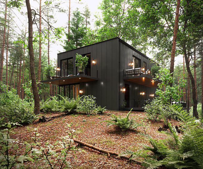 My Dream House in the pure forest.