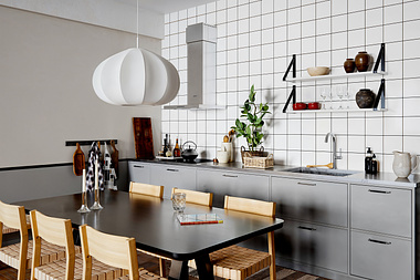 Contemporary Minimalistic Kitchen