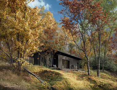 Wooden Forest Black Cabin