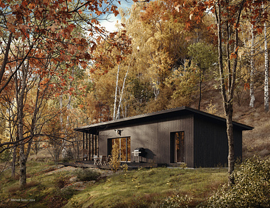 Wooden Forest Black Cabin