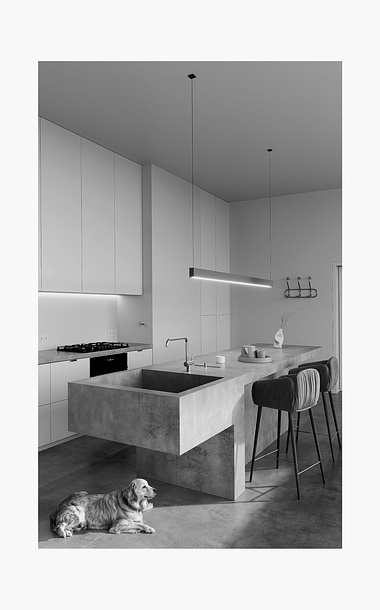 MINIMALIST KITCHEN