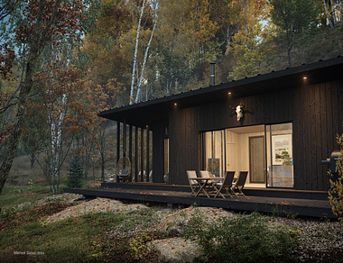 Wooden Forest Black Cabin