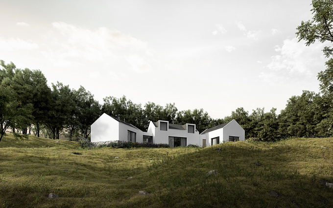 Irish home surrounded by forest