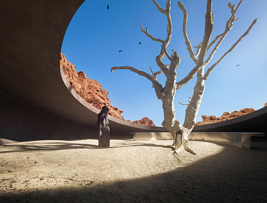 Tree in the Desert