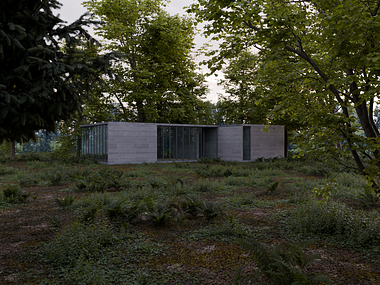 Forest Concept House