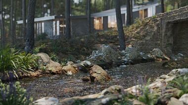 HOUSE in the Forest